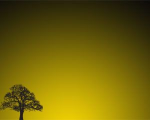 Tree Sunset Powerpoint Template