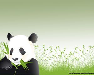 panda powerpoint