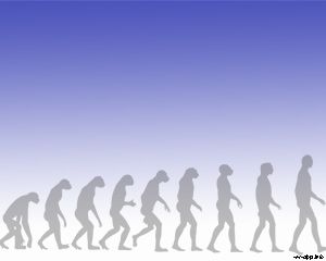 Free Human Evolution PowerPoint Template