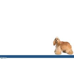 powerpoint presentation about dogs