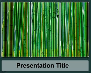 Free Sugar Cane PowerPoint Template
