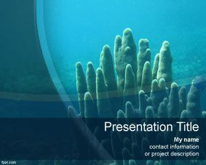 Free Scuba Diving Reef PowerPoint background