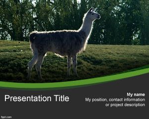 Andean Animal Powerpoint Template