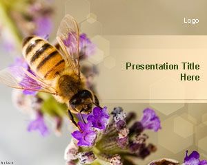 Nectar Bee PowerPoint Template