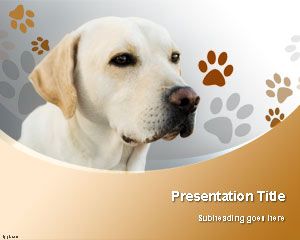 Labrador Retriever Dog PowerPoint Template