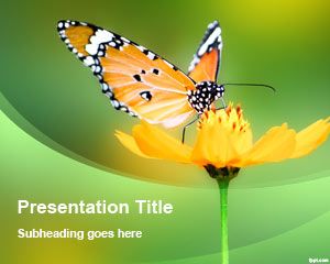 Flower Butterfly PowerPoint Template