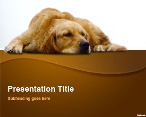 Golden Retriever PowerPoint Template