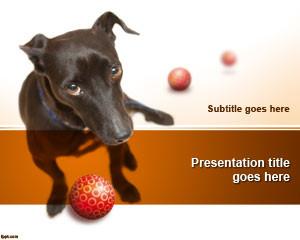 Adopt a Dog PowerPoint Template