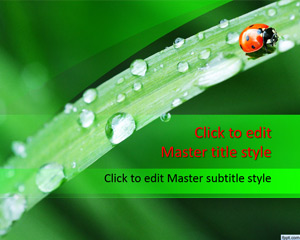 Ladybug PowerPoint template