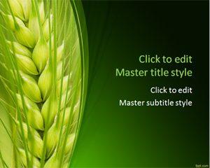 Wheat PPT Template