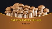 160033-mushrooms-template-16x9-1