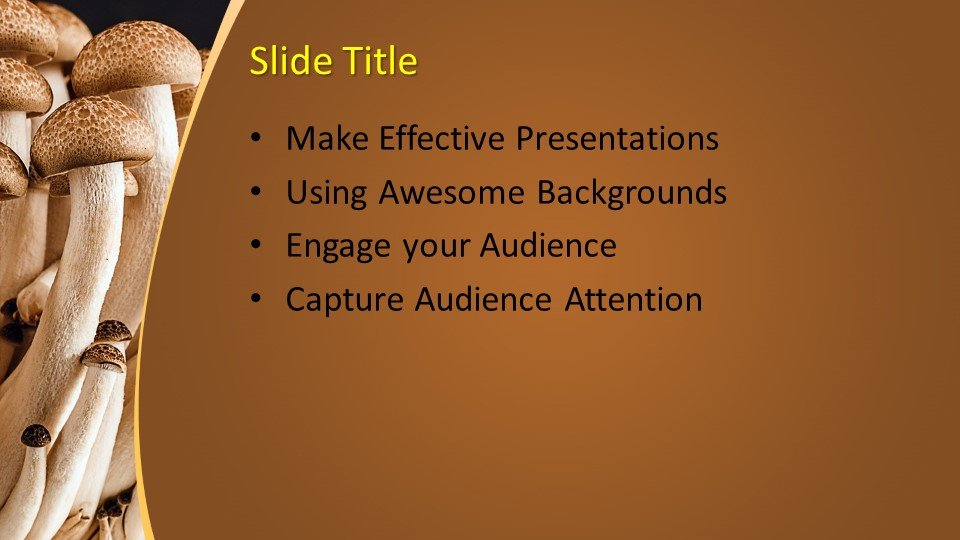 how to build a powerpoint template with background imagew