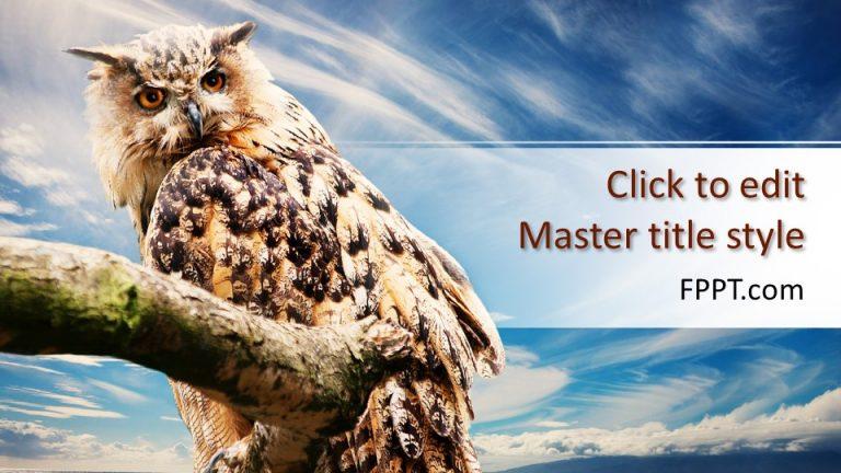 160043-owl-template-16x9-1 - Free PowerPoint Templates