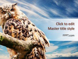 Free Owl PowerPoint Template