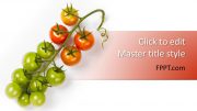 160051-tomato-template-16x9-1