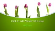 160061-tulips-template-16x9-1
