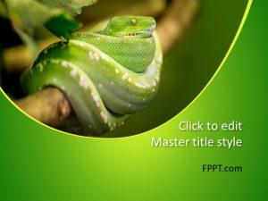 Free Snake PowerPoint Template