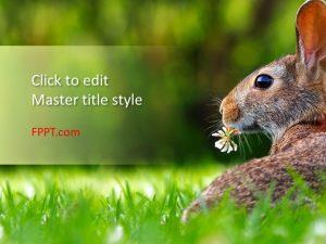 Free Hare PowerPoint Template