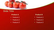 160122-tomatoes-template-16x9-4