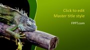 160123-iguana-template-16x9-1
