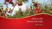 160147-apples-template-16x9-1