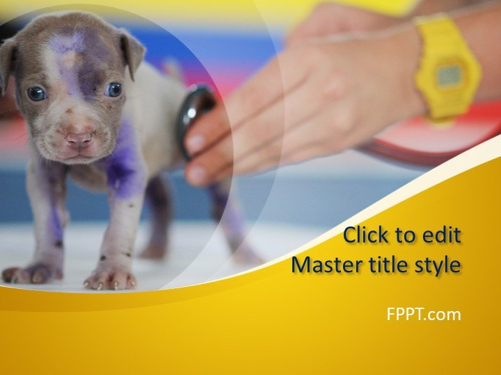 Free Vet PowerPoint Template