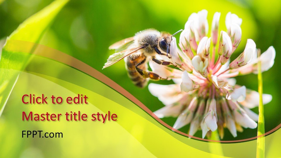 Free Bee PowerPoint Template Free PowerPoint Templates