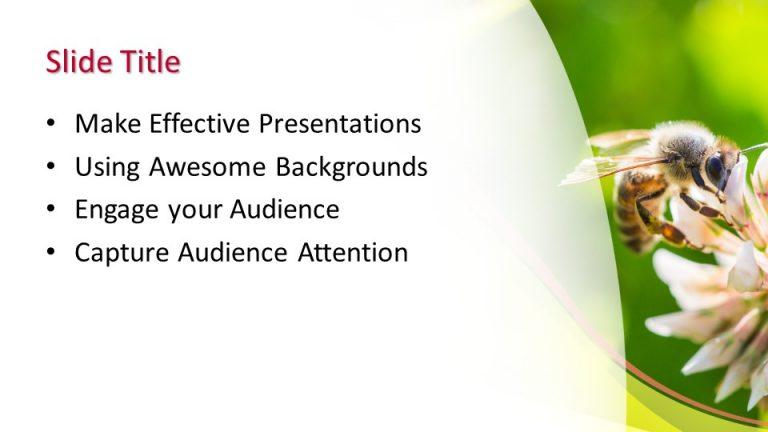 160250 bee template 16x9 3 Free PowerPoint Templates