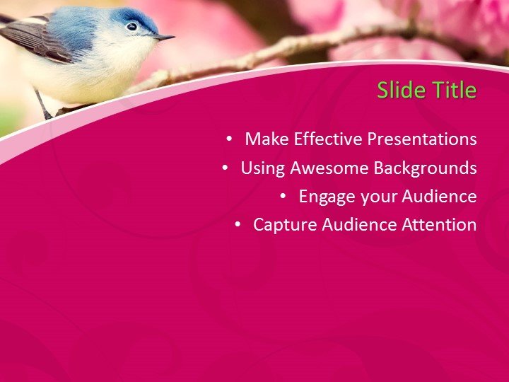 160317-bird-template-4x3-2 - Free PowerPoint Templates