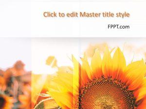 Free Bloom PowerPoint Template