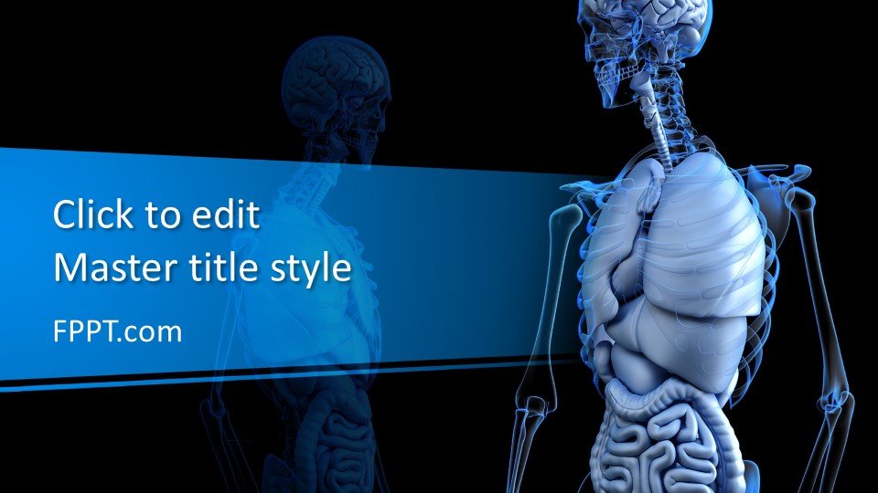 Free Anatomical PowerPoint Template - Free PowerPoint ...