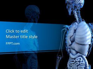 Free Anatomical PowerPoint Template