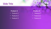 160380-lilac-template-16x9-4