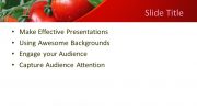 160381-tomatoes-template-16x9-2