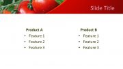 160381-tomatoes-template-16x9-4
