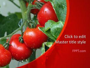 Free Tomatoes PowerPoint Template