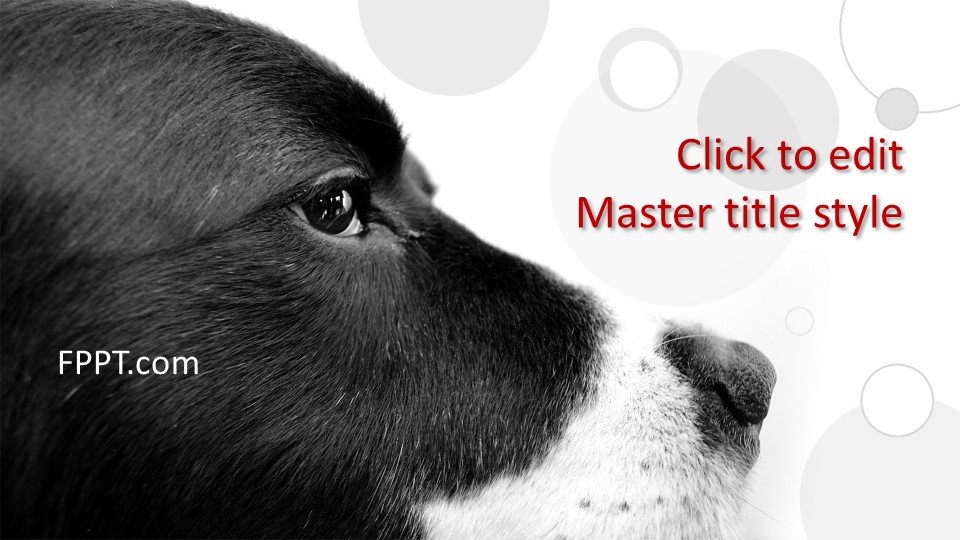 Dog Powerpoint Template Free Printable Templates