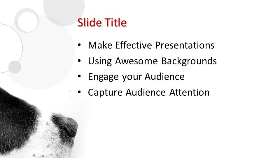 Free Dog PowerPoint Template Free PowerPoint Templates Free Dog PowerPoint Template Free PowerPoint Templates