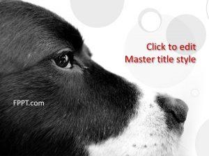 Free Dog PowerPoint Template