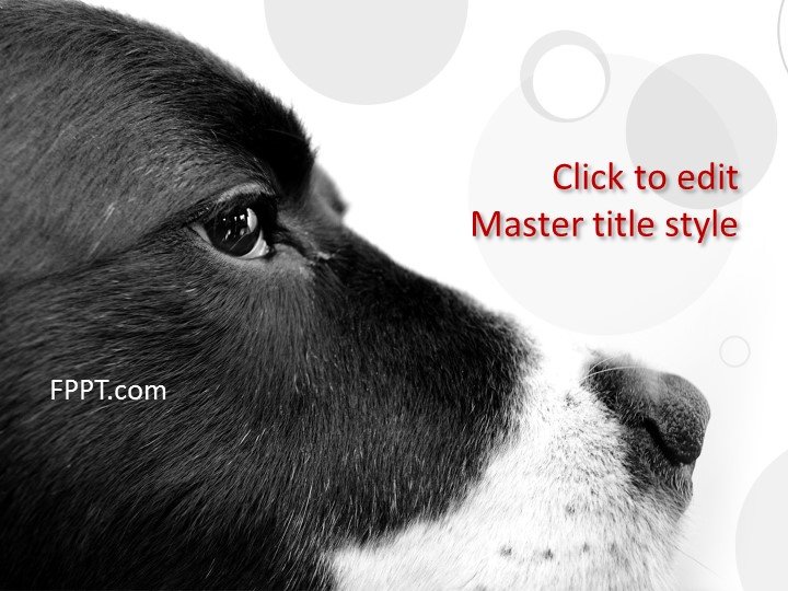 Free Dog PowerPoint Template Free PowerPoint Templates