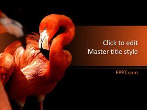 Free Flamingo PowerPoint Template