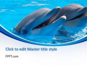Free Dolphin PowerPoint Template