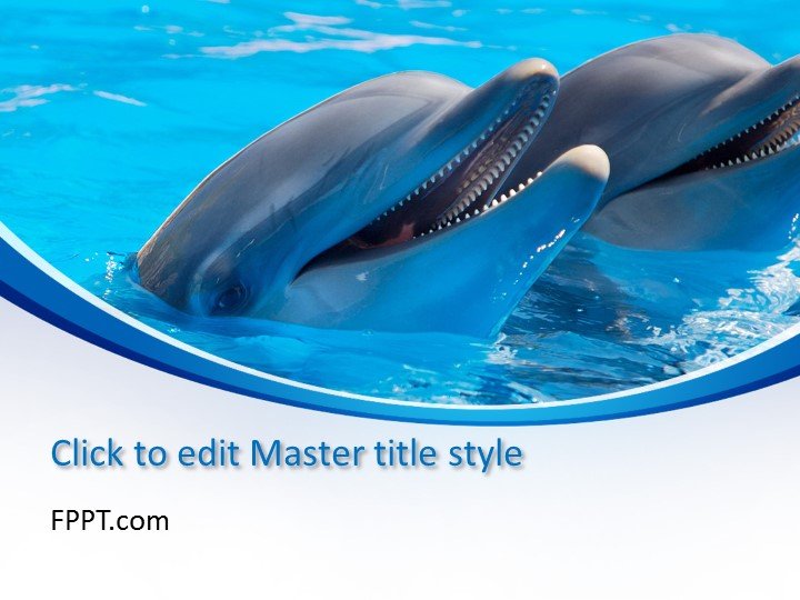Free Dolphin PowerPoint Template