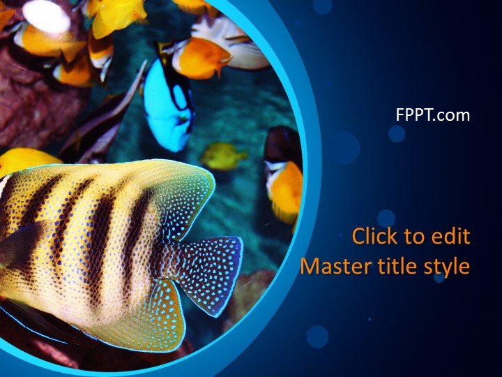 Free Fish Powerpoint Templates