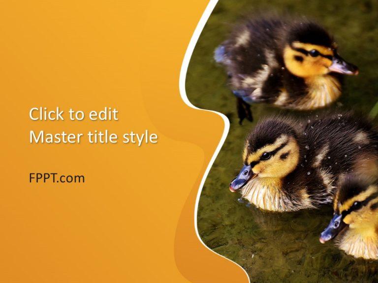 Free Duck PowerPoint Templates