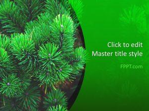 Free Pine PowerPoint Template