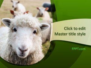 Free Lamb PowerPoint Template