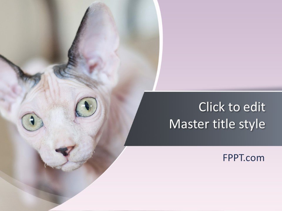 Free Cat PowerPoint Template Free PowerPoint Templates