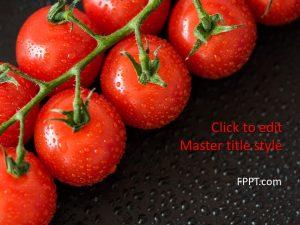 Free Harvest Tomatoes PowerPoint Template