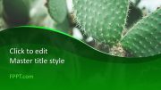 160566-cactus-template-16x9-1